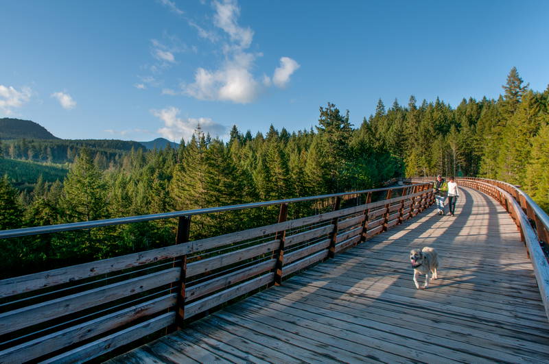 Man walking dog on trestle on clear sunny day on Vancouver Island. Stock Photography Free for Commercial Use.