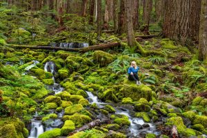 Woman in forest on green moss, sitting on the rocks. Stock Photography Free for Commercial Use.