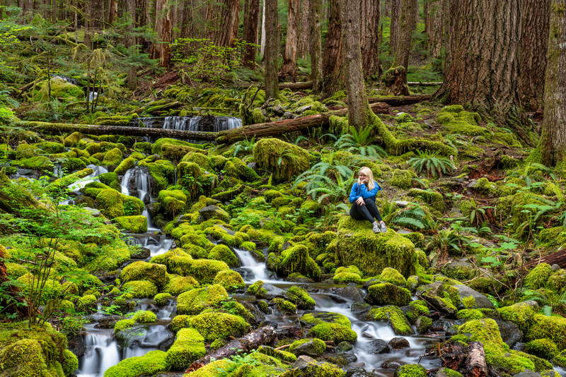 Woman in forest on green moss, sitting on the rocks. Stock Photography Free for Commercial Use.