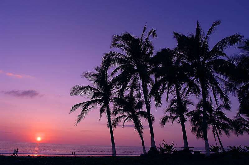 Tropical Sunset with purple sky and palm trees. Stock Photography Free for Commercial Use.