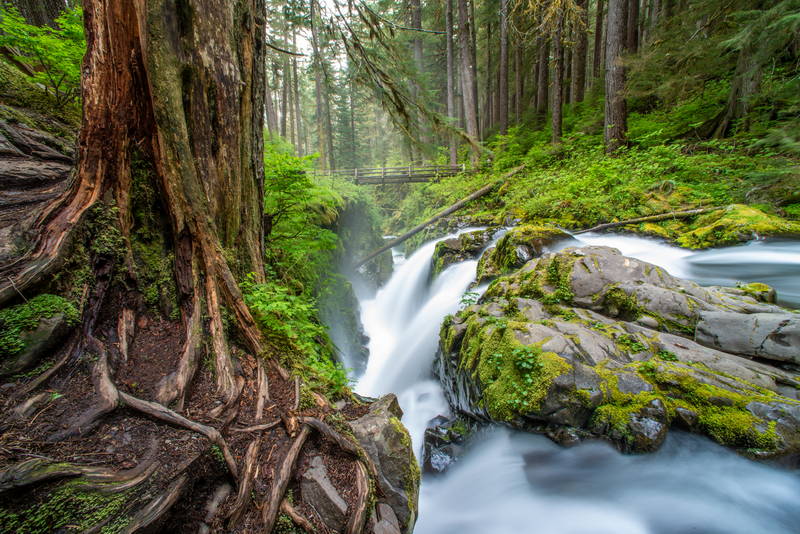 Running creek with blur with forest waterfall. Stock Photography Free for Commercial Use.