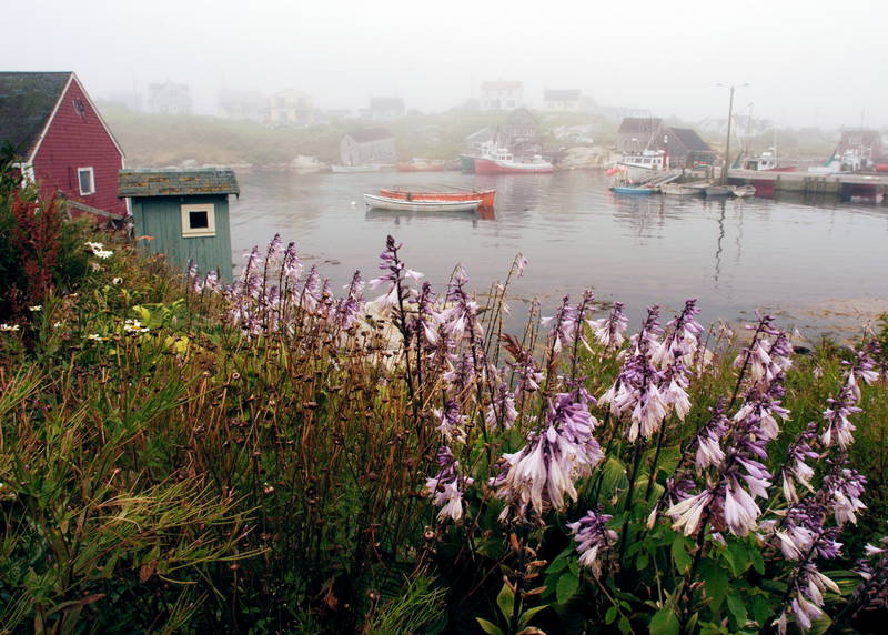 Foggy Maritime landscape. Stock Photography Free for Commercial Use.